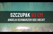 Szczupak 93cm na żywca Angeln Schwarzer See Hecht