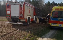 Śmiertelny wypadek motocyklisty pod Strykowem na polnej drodze.