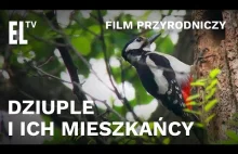 Dziuple i ich mieszkańcy - film przyrodniczy