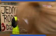 Stop alienacji rodzicielskiej!