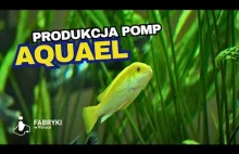 Aquael polski producent filtrów akwarystycznych i pomp.