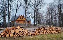 Diecezja za pieniądze głosi, że drewno jest ekstra.