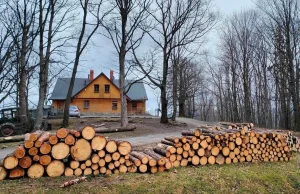 Diecezja za pieniądze głosi, że drewno jest ekstra.