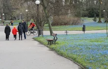Park Klepacza w Łodzi zmienił się w morze błękitu!