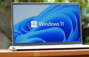 Windows 11? Ludzie wolą inny system