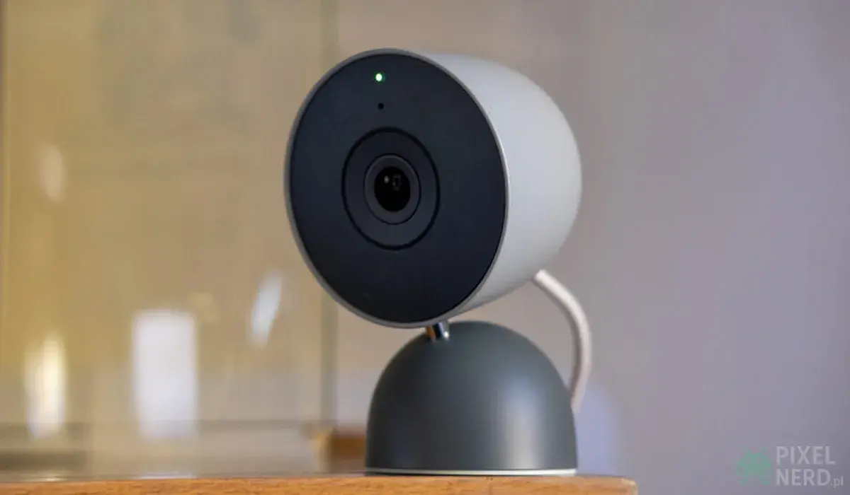 Google Gemini dla domu rozpoznaje psy jako jelenie i widzi ludzi w pustych pokoj