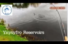 Ynysyfro Reservoirs - Walia - Wędkarstwo muchowe w UK - YouTube