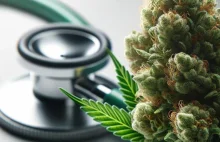 Jak medyczna marihuana może pomóc w walce z chorobą Crohna?