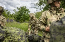 Dania mobilizuje setki rezerwistów w trybie pilnym.