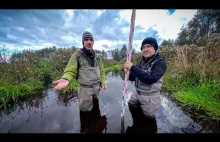 Jak bobry odtwarzają retencję w zmeliorowanym torfowisku?