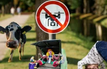 Cukierki barwione arszenikiem tak wygląda świat deregulacji