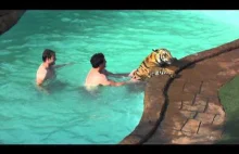 Zabawa z tygrysem w basenie