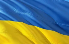 UE stosuje awaryjne hamowanie importu owsa z Ukrainy