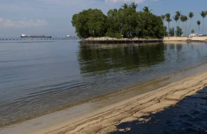 Luksusową plażę zalała ropa. "Trzymajcie się z dala od wody"