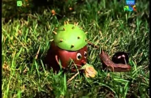 Kasztaniaki kreskówka o lesie