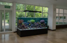 Ostrzeżenie dla początkujących akwarystów