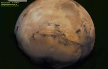 Najdziwniejsze polskie słowo i nagły upadek dyliżansów w Europie