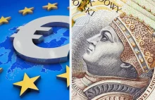 Jak zachowuje się gospodarka po przyjęciu euro?