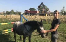 Budowa S7 niszczy drobnych przedsiębiorców