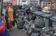 "Szczury wielkości kota". Plaga gryzoni i góry śmieci w brytyjskim mieście
