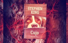 Ciekawostki o książce i filmie "Cujo" Stephena Kinga