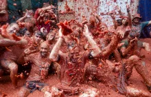 Najsłynniejsza na świecie wojna na pomidory. Tomatina zgromadziła ponad 20 tys.