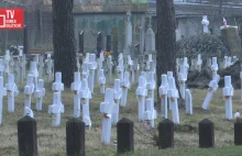 Co z polskim cmentarzem w Brodach?