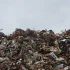 Tak kombinują Niemcy ws. odbierania nielegalnych niemieckich śmieci z Polski
