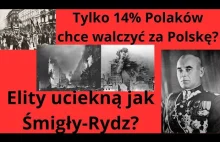 Tylko 14% Polaków chce walczyć za Polskę? Elity uciekną jak Śmigły