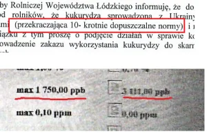 Normy kukurydzy z Ukrainy miały być przekroczone x10 a są dużo mniej