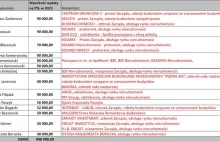 1/5 wpłat na konto PSL pochodziła od branży mieszkaniowej w 2023 roku.