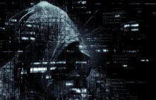 NIK: Państwo nie chroni obywateli przed cyberatakami i wyłudzeniami danych