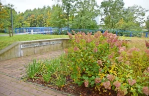 Czy władze Tychów chcą zakryć napis poświęcony Marii i Lechowi Kaczyńskim?