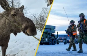 "Baza NATO w stanie agonalnym. Biegające łosie, brak wody i toalet"