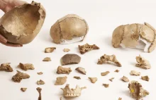 Kanibalizm w północno-wschodniej Europie 15 tys lat temu