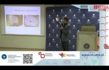 Współczesne "cuda" eucharystyczne z perspektywy genetyka sądowego.