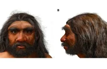 Tam i z powrotem: neandertalczycy, denisowianie i my