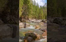 Peaceful Scene of Mountain River - Soothing Nature Sounds With Wildlife Scenery