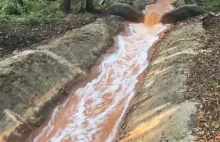 Katastrofa ekologiczna na Śląsku. Kłodnica, dopływ Odry, ma kolor... biegunki