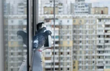 Problem gołębi zanieczyszczających balkony jest nie rozwiązany od lat