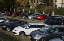 Jedziesz na cmentarz? Weź ze sobą taśmę i nożyczki, inaczej tylko stracisz czas