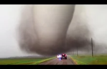 Craziest Nature Videos of the Decade