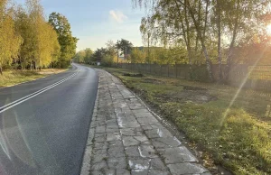 Odkrycie roku w Skierniewicach. Odkopano prawie kilometr chodnika