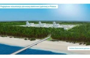 Elektrownia atomowa w Choczewie może zagrażać Bałtykowi