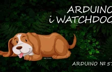 Arduino 57: Watchdog, czyli Arduino profesjonalnie