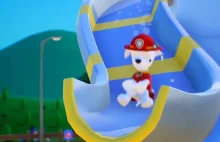 Psi Patrol Odcinek 1 / Paw Patrol - YouTube