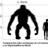 Gigantopiteki - wymarłe, największe małpy człekokształtne