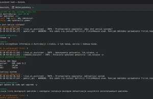 AI asystent terminala