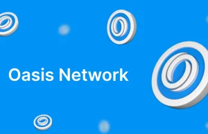 Kryptowaluta Oasis Network (ROSE) - Co to jest? Opis i recenzja projektu AI & Bi