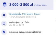 Mentzen obiecuje cuda Polakom, a swoim pracownikom płaci 3000zł brutto